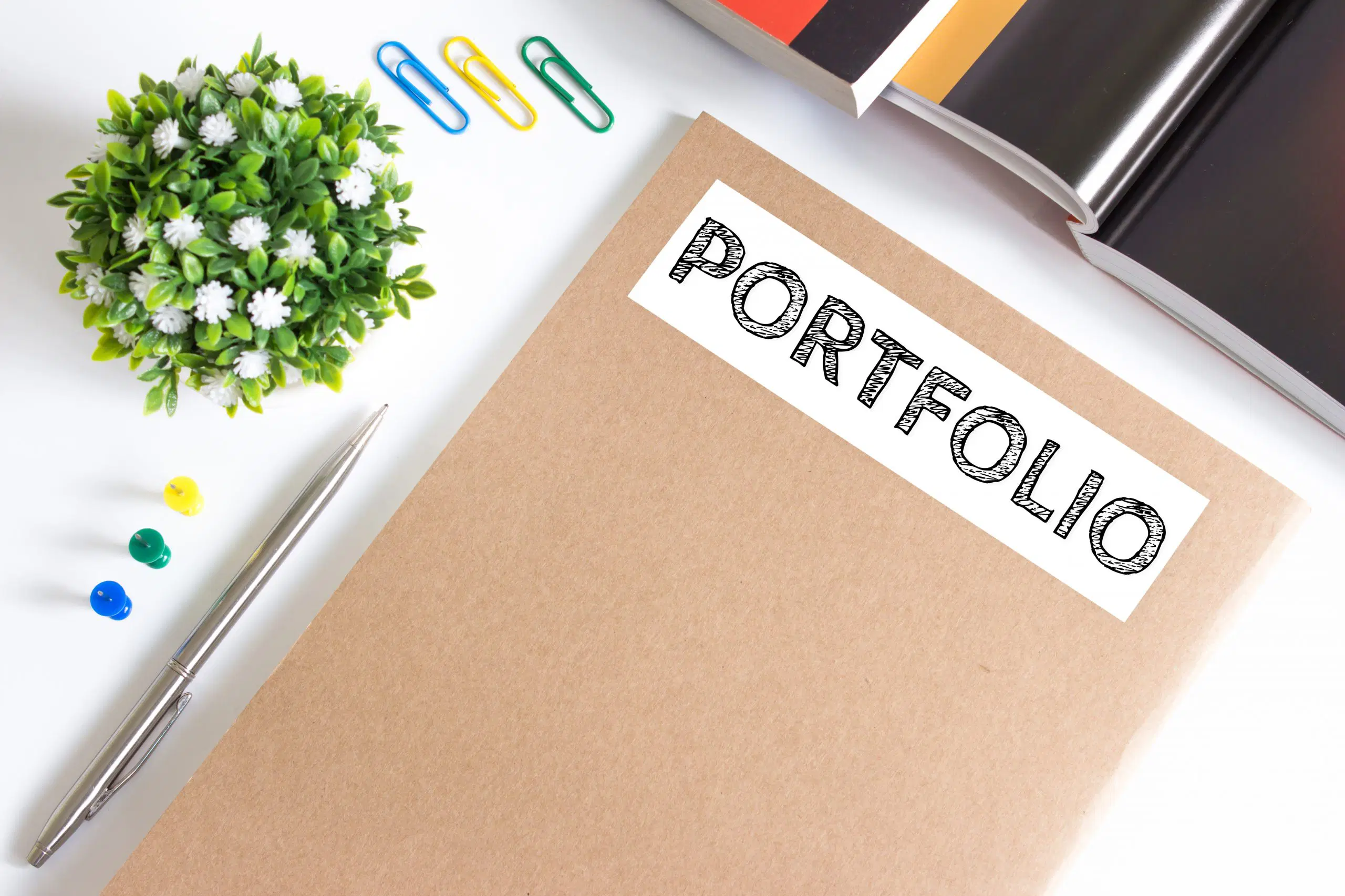 Portfolio Project
